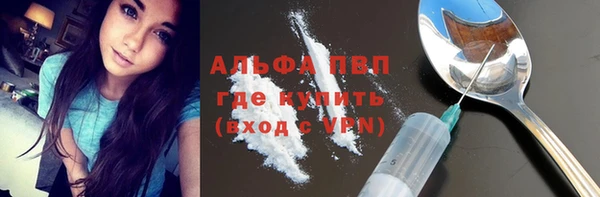 крисы Бронницы