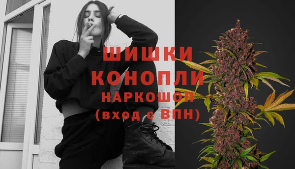 apvp Бородино