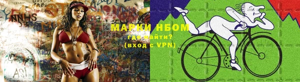 apvp Бородино