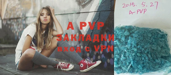 крисы Бронницы
