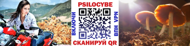 Галлюциногенные грибы Cubensis  ОМГ ОМГ рабочий сайт  Находка 