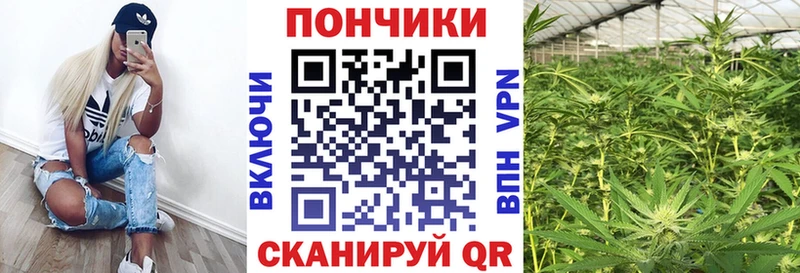 Бошки Шишки семена  купить наркотик  Находка 